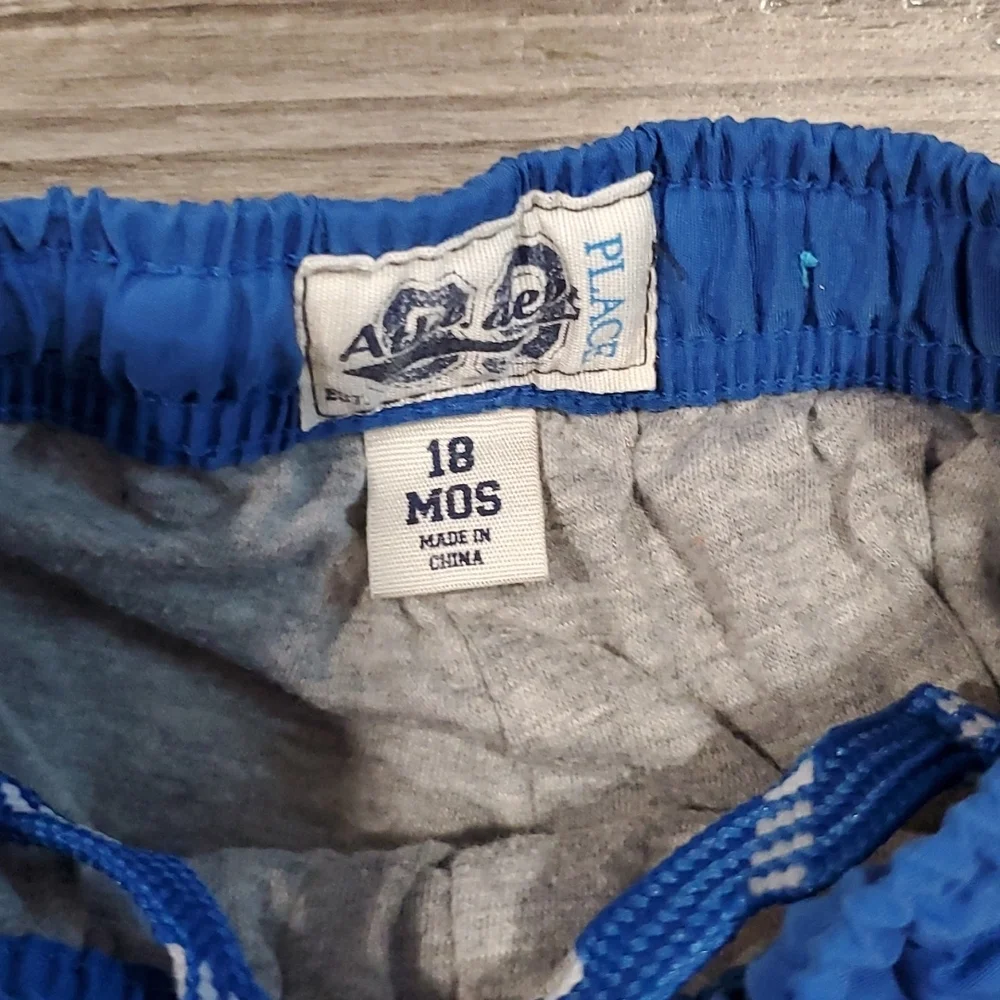 The Childrens Place shirt 2t